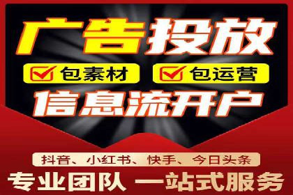 专业竞价SEM托管成功案例解析